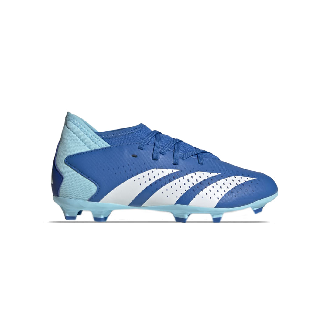 Botines Niños adidas Predator Accuracy.3 FG