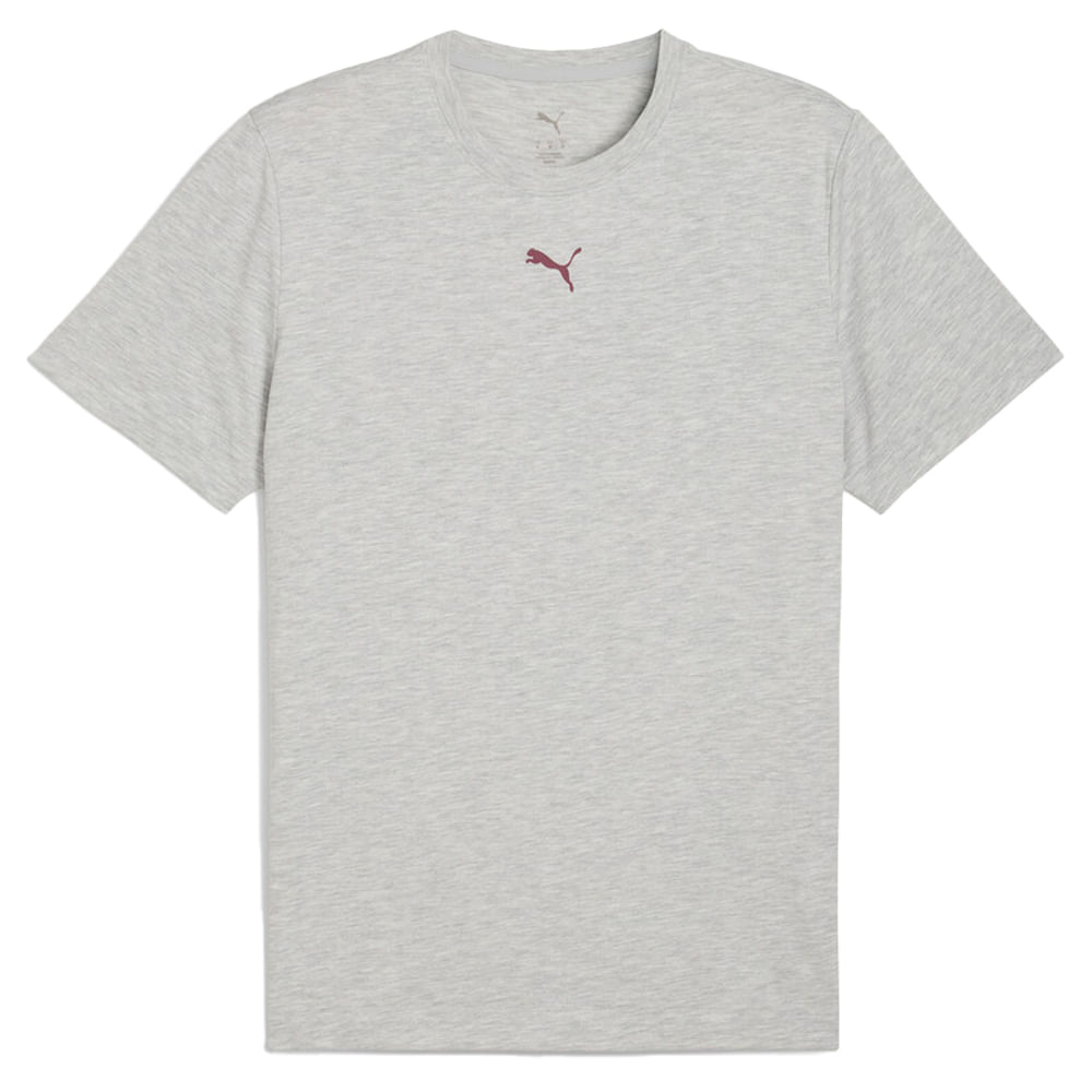 Remera Hombre Puma Graphic Illustrated