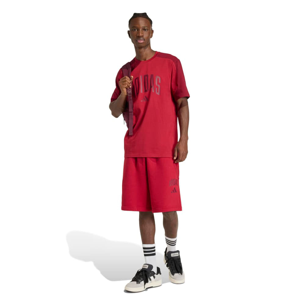 Remera Hombre adidas Collegiate Te — imagen 4